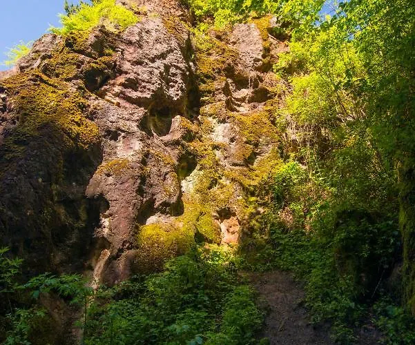 Oeskarszt